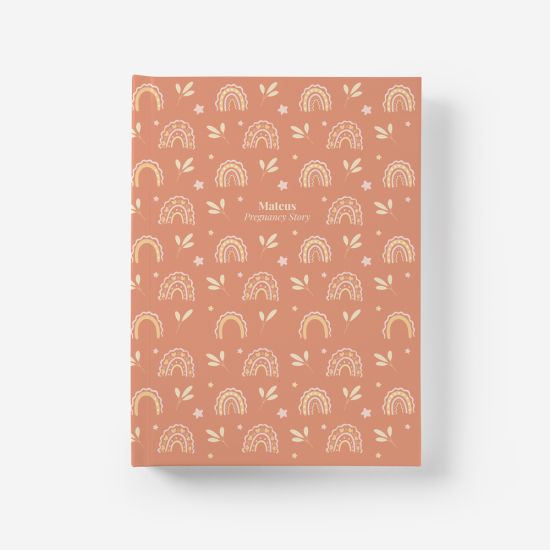 Álbum Pregnancy Story 1